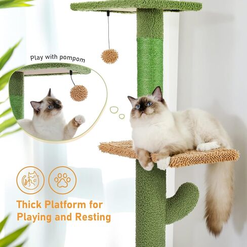 PAWZ Road Cactus Floor-to-Ceiling Cat Tree 5-Tier Cat Tower with Hammock in Kuwait