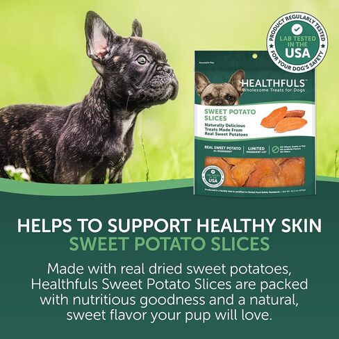 HEALTHFULS Real Dried Sweet Potato Slices, Grain Free Dog Treats, 16 oz in Kuwait