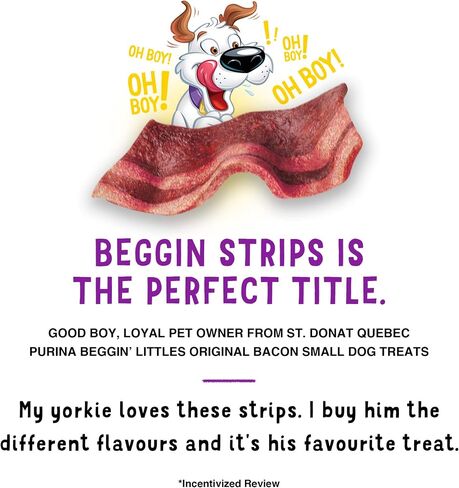 Purina Beggin' Fun Size Dog Treats, Original with Bacon, 25 oz Pouch in Kuwait