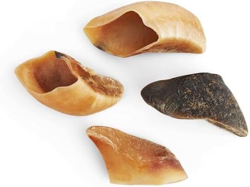 Good Lovin' by Petco Traditional Beef Hoof Dog Chews 14 oz. Count of 10 in Saudi Arabia