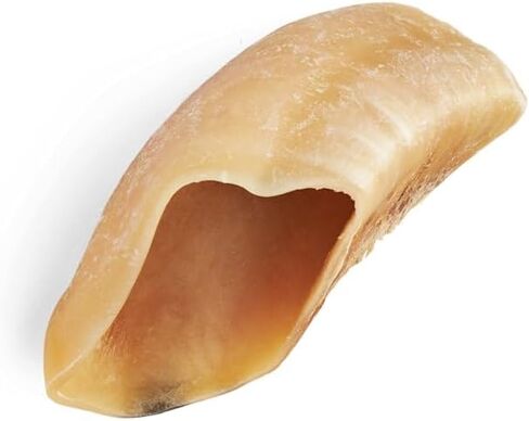 Good Lovin' by Petco Traditional Beef Hoof Dog Chews 14 oz. Count of 10 in Saudi Arabia