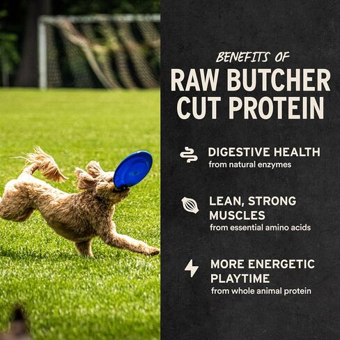 Vital Essentials Freeze Dried Bully Sticks Dog Treats, 1.4 oz Bag (3 Count) in Kuwait