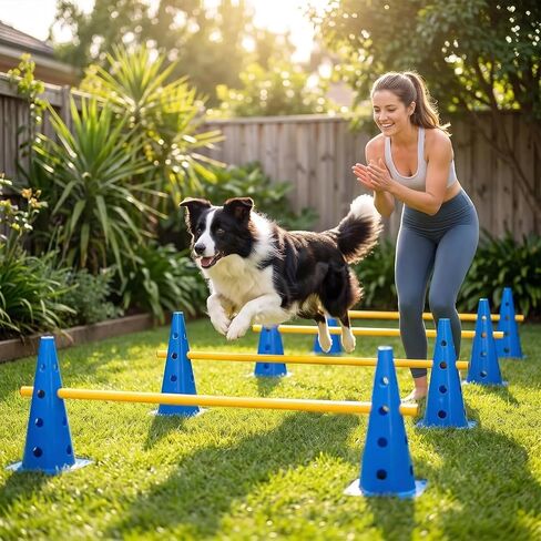 Dog Agility Equipment 12Inch Backyard Obstacle Course Agility Cones Hurdles in Saudi Arabia