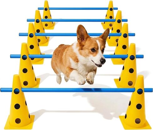 Dog Agility Equipment Set, 6 Adjustable Hurdles with 12 Cones and Poles in Saudi Arabia