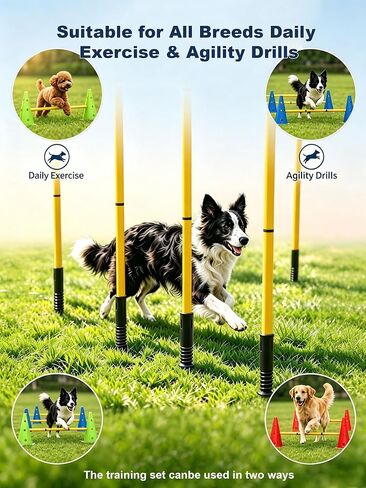 Dog Agility Training Hurdle Cone Set, Adjustable Dog Agility Equipment Obstacle Course Backyard Equipment for Pet Exercise in Kuwait