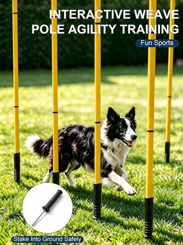 Dog Agility Training Hurdle Cone Set, Adjustable Dog Agility Equipment Obstacle Course Backyard Equipment for Pet Exercise in Kuwait