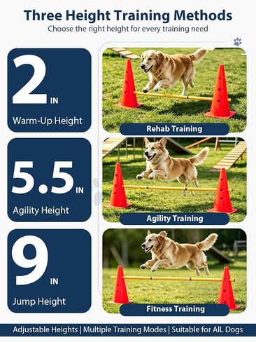 Dog Agility Training Hurdle Cone Set, Adjustable Dog Agility Equipment Obstacle Course Backyard Equipment for Pet Exercise in Kuwait