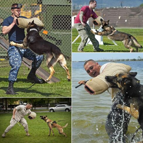 Dog Bite Training Set Professional Dog Bite Sleeve Arm with Whip Agitation Stick for Dogs Training Equipment Protection for Biting Playing Tugging Toy Interactive Pitbull German Shepherd Puppy K9 in Kuwait