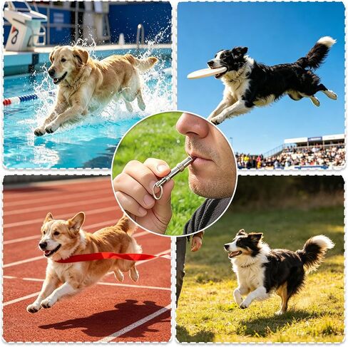 3 Pack Silent Dog Whistles, Adjustable Dog Training Whistle, Silver in Kuwait