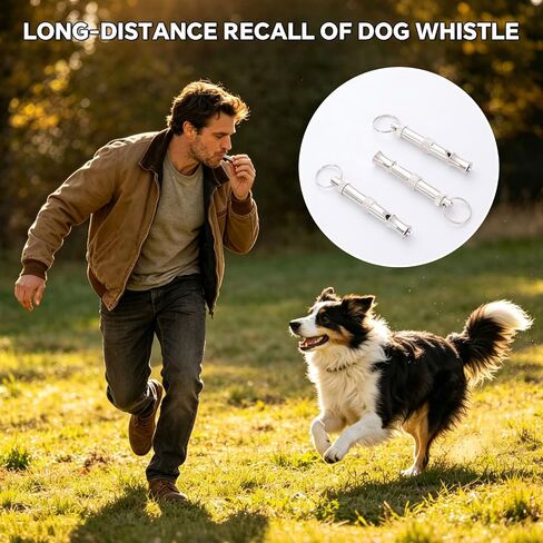 3 Pack Silent Dog Whistles, Adjustable Dog Training Whistle, Silver in Kuwait