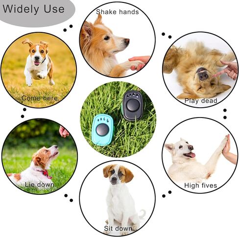 Pet Clicker for Dogs/Cats/Horses/Birds or Other Animals - Mini Finger Clickers for Training (Black + Blue) in Kuwait