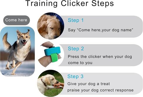 Pet Clicker for Dogs/Cats/Horses/Birds or Other Animals - Mini Finger Clickers for Training (Black + Blue) in Kuwait