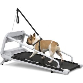 Dog Treadmill for Medium Small Dogs with 5% Incline Pet Exercise Machine in Saudi Arabia