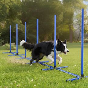 6 Weave Poles or 2 Hurdle Dog Agility Set, Indoor & Outdoor in Saudi Arabia