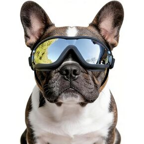 NAMSAN Medium Clear Dog Goggles Eye Protection, Dog Sun Glasses Small Medium Breed UV Protection, Dog Sunglasses for Driving Cycling Windproof Dustproof, Adjustable, Easy to Wear, Transparent in Saudi Arabia