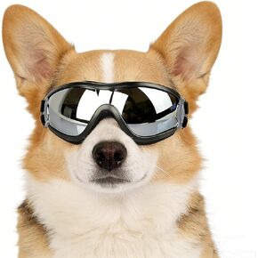 NAMSAN Large Dog Goggles Eye Protection, UV Protection Pet Sunglasses for Dogs Medium to Large Breed, Driving Glasses for Dogs Stick Head Out Car Window, Windproof Dustproof, Adjustable, Clear in Saudi Arabia