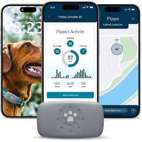 Purina Petivity Dog GPS Tracker Collar, Activity and Real Time Tracking in Kuwait