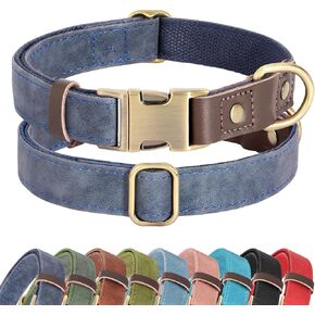 Didog PU Leather Dog Collar for Small Dogs Puppy, Soft Lining, Green S in Saudi Arabia