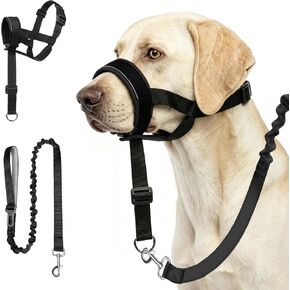 Adjustable Soft Leather Dog Head Collar with Dog Leash, S in Kuwait