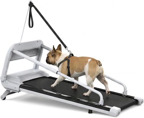 Dog Treadmill for Medium Small Dogs with 5% Incline Pet Exercise Machine in Saudi Arabia