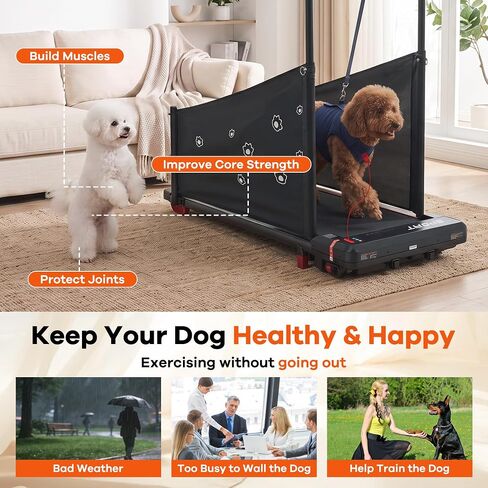 Dog Treadmill for Medium Small Dogs - 4 in 1 Pet Running Machine in Saudi Arabia