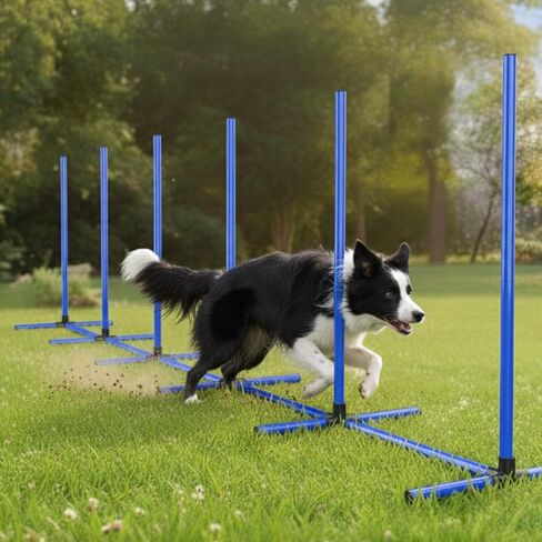 6 Weave Poles or 2 Hurdle Dog Agility Set, Indoor & Outdoor in Saudi Arabia