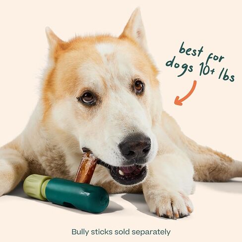 WOOF BullySafe Bully Stick Holder for Dogs in Saudi Arabia