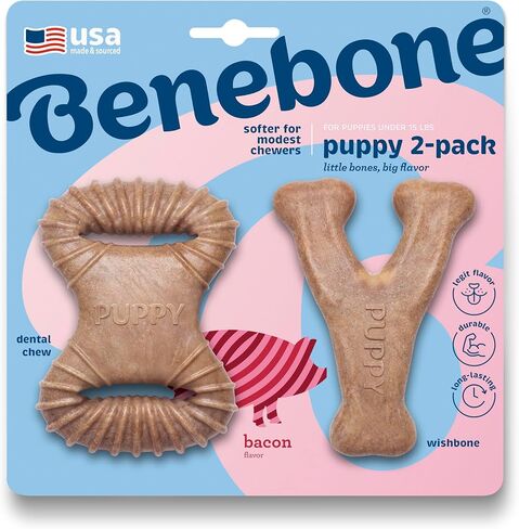 Benebone Puppy 2-Pack Dental Chew/Wishbone Dog Teething Toys, Bacon, Small in Kuwait