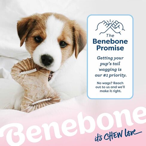Benebone Puppy 2-Pack Dental Chew/Wishbone Dog Teething Toys, Bacon, Small in Kuwait