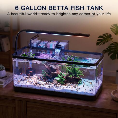6 Gallon Betta Fish Tank, 7 in 1 Aquarium Starter Kits, Fish Tank in Saudi Arabia