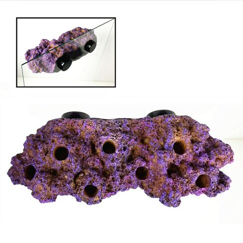 Magnetic Reef Coral Frag Rack Floating Rock Strong Magnets Strong N52 Magnets for 1/2" Glass (Coralline Purple) in Saudi Arabia