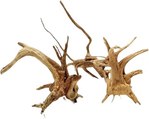 2Pcs Aquarium Driftwood Branches Natural Wood Reptiles Trunk Wood Fish Tank Decoration Plant Stump Ornament Landscaping, Fish Tank Decoration, 8-10cm in Kuwait