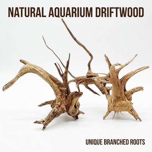 2Pcs Aquarium Driftwood Branches Natural Wood Reptiles Trunk Wood Fish Tank Decoration Plant Stump Ornament Landscaping, Fish Tank Decoration, 8-10cm in Kuwait