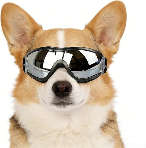 NAMSAN Large Dog Goggles Eye Protection, UV Protection Pet Sunglasses for Dogs Medium to Large Breed, Driving Glasses for Dogs Stick Head Out Car Window, Windproof Dustproof, Adjustable, Clear in Saudi Arabia