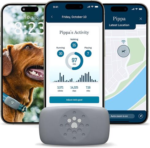 Purina Petivity Dog GPS Tracker Collar, Activity and Real Time Tracking in Kuwait