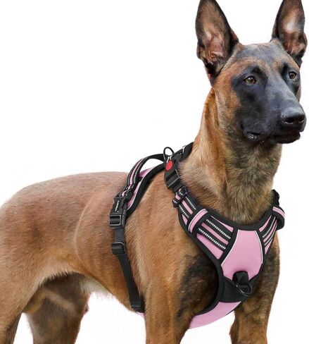 rabbitgoo Dog Harness for Large, Updated Easy On & Off with 3 Buckles in Kuwait