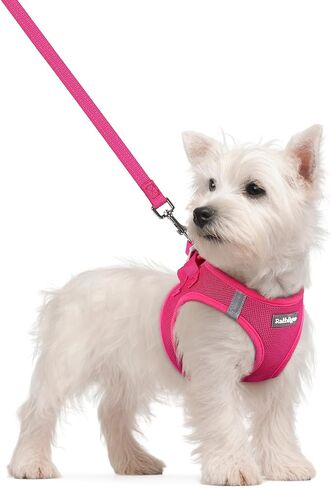 rabbitgoo Dog Harness Small Sized and Leash Set, Step-in Puppy Pet Vest in Saudi Arabia