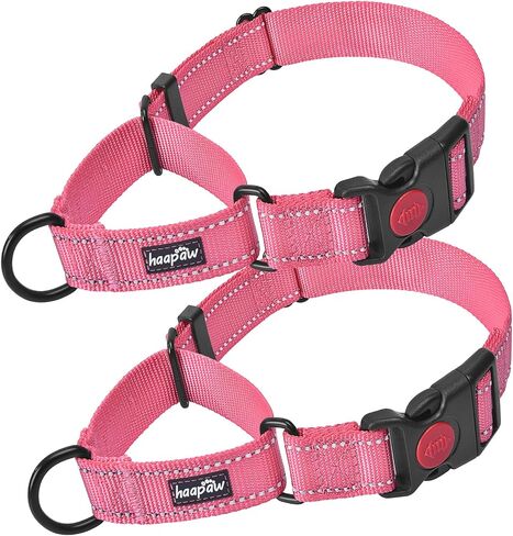 Haapaw Escape-Proof Martingale Dog Collar, Turquoise, L in Saudi Arabia