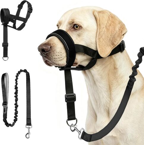 Adjustable Soft Leather Dog Head Collar with Dog Leash, S in Saudi Arabia