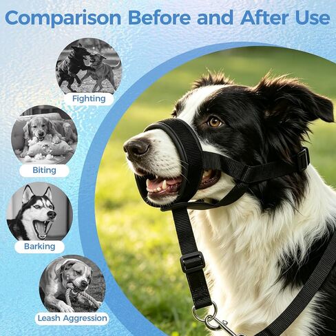 Adjustable Soft Leather Dog Head Collar with Dog Leash, S in Saudi Arabia