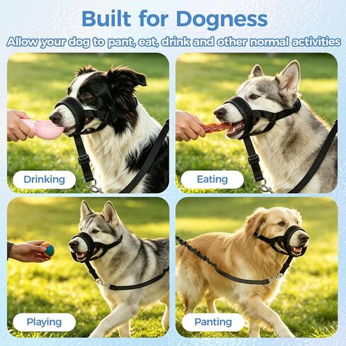 Adjustable Soft Leather Dog Head Collar with Dog Leash, S in Saudi Arabia
