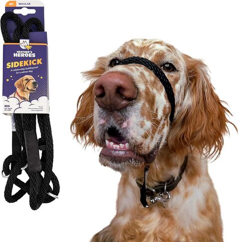 Heather's Heroes Sidekick Dog Headcollar with Leash - Effective Dog Training Tool for Leash Reactivity and Behavior Issues (Purple, Mini (1/4")) in Saudi Arabia