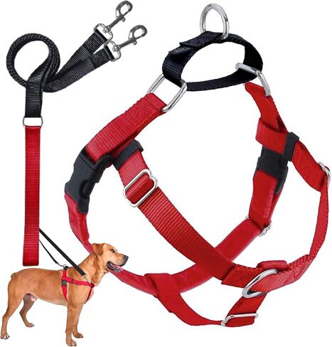 2 Hounds Design Freedom No Pull Dog Harness and Leash, 1" LG, Black in Kuwait