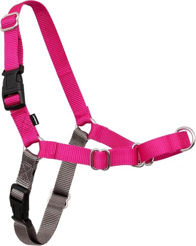 سرج PetSafe Easy Walk بدون سحب للكلاب - السرج النهائي للمساعدة في التوقف عن السحب - السيطرة وتعليم سلوكيات أفضل للمقود - يساعد على منع سحب الحيوانات الأليفة أثناء المشي، مقاس متوسط، أسود/فضي in Kuwait