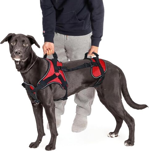 سترة صدرية متعددة الوظائف لرفع الجسم بالكامل من Doggie Stylz، مصممة لرفع الكلاب من الأمام فقط أو الخلفي فقط أو كامل الجسم. يرجى قياس كلبك قبل الطلب. in Kuwait