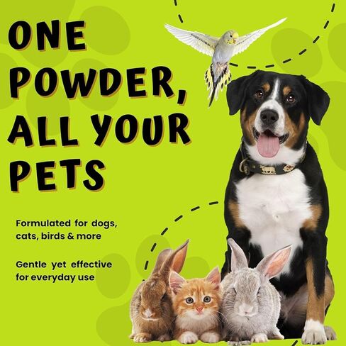 PetEyez Styptic Powder for Dogs, Cats & Birds (2 oz) – Fast-Acting Blood Clotting & Bleed Stop Powder for Pet Nail Trims, Clipping & Cuts – Easy-Use Wide Mouth DIP Can – First Aid Grooming Essential in Kuwait
