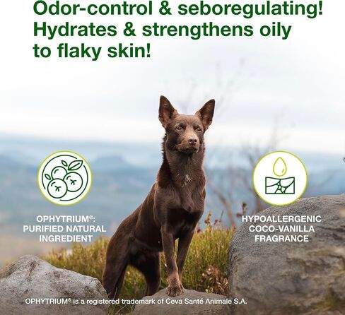 Douxo S3 SEB Dog Seboregulating Mousse, 0.5% Ophytrium, 5 fl oz in Saudi Arabia