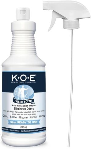 Odorcide KOE Fresh Scent Ready to Use Spray in Kuwait