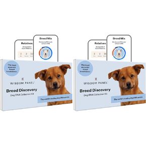 Wisdom Panel Breed Discovery Dog DNA Test Kit 430+ Breeds, MDR1 Health Test in Kuwait