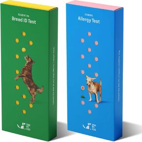 DNA MY DOG – Ultimate Health & Breed Bundle | Canine Allergy Test (120+ Allergens) & Breed ID Test (350+ Breeds) | Non-Invasive Cheek Swab, Fast Results, Detailed Reports & Personalized Tips in Kuwait